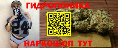 прущие грибы Апрелевка